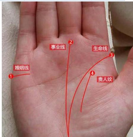 左手和右手手相_手相左手和右手区别_手相是看左手还是右手