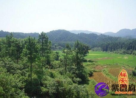 茌平风水看坟地_看坟地风水是迷信吗_如何看坟地风水