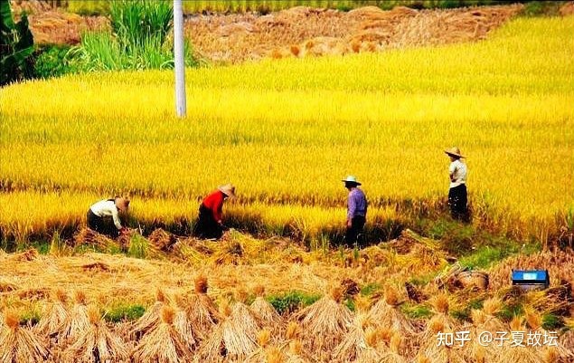 谦卦六二卦辞_六十四卦卦辞原文_圣杯打卦27卦卦词卦辞