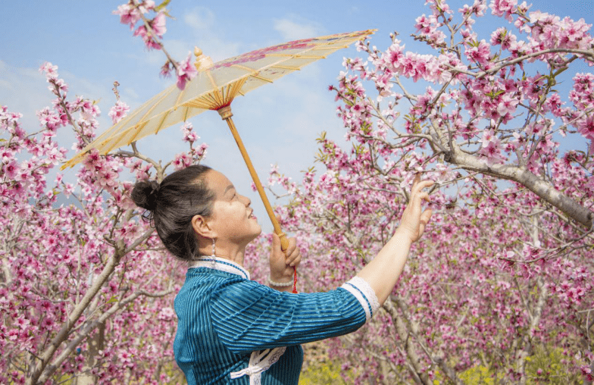 仲夏是阳历几月_仲夏是盛夏_仲夏是几月