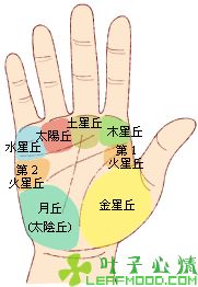 对照<strong>手相</strong>图解看<strong>手相</strong>(<strong>手相</strong>全攻略)