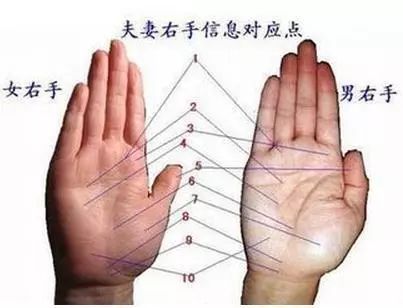 教你如何看<strong>手相</strong> 你也能成为<strong>手相</strong>大师！
