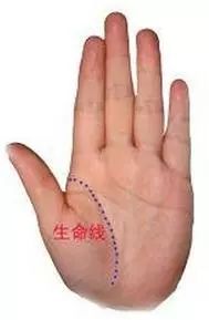 教你如何看<strong>手相</strong> 你也能成为<strong>手相</strong>大师！