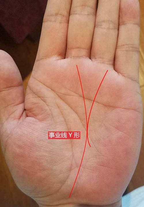 教你如何看<strong>手相</strong> 你也能成为<strong>手相</strong>大师！