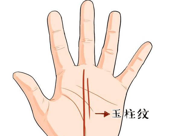 教你如何看<strong>手相</strong> 你也能成为<strong>手相</strong>大师！