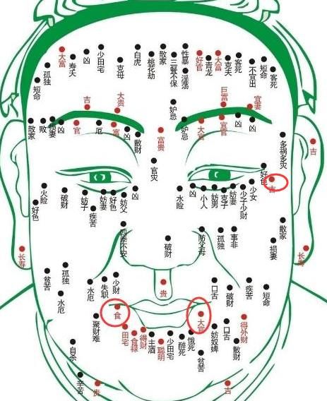 禄存化禄在十二宫_夫妻宫化忌化科化权化禄_化禄