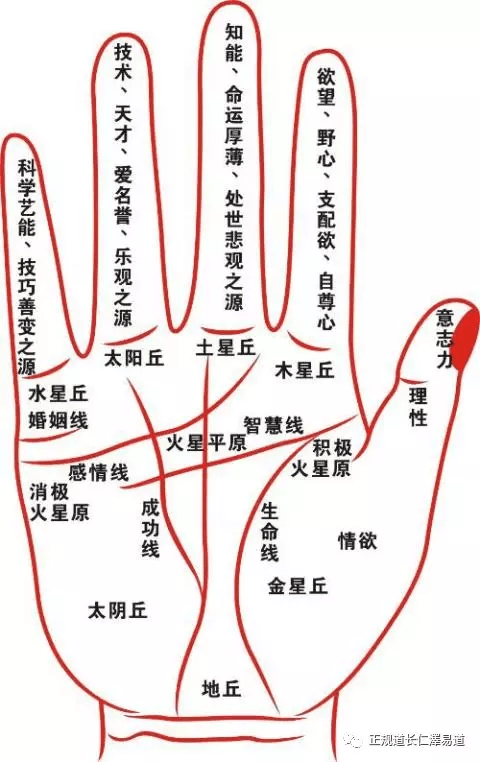 <strong>手相</strong>看婚姻：容易遭遇婚变而离婚的<strong>手相</strong>