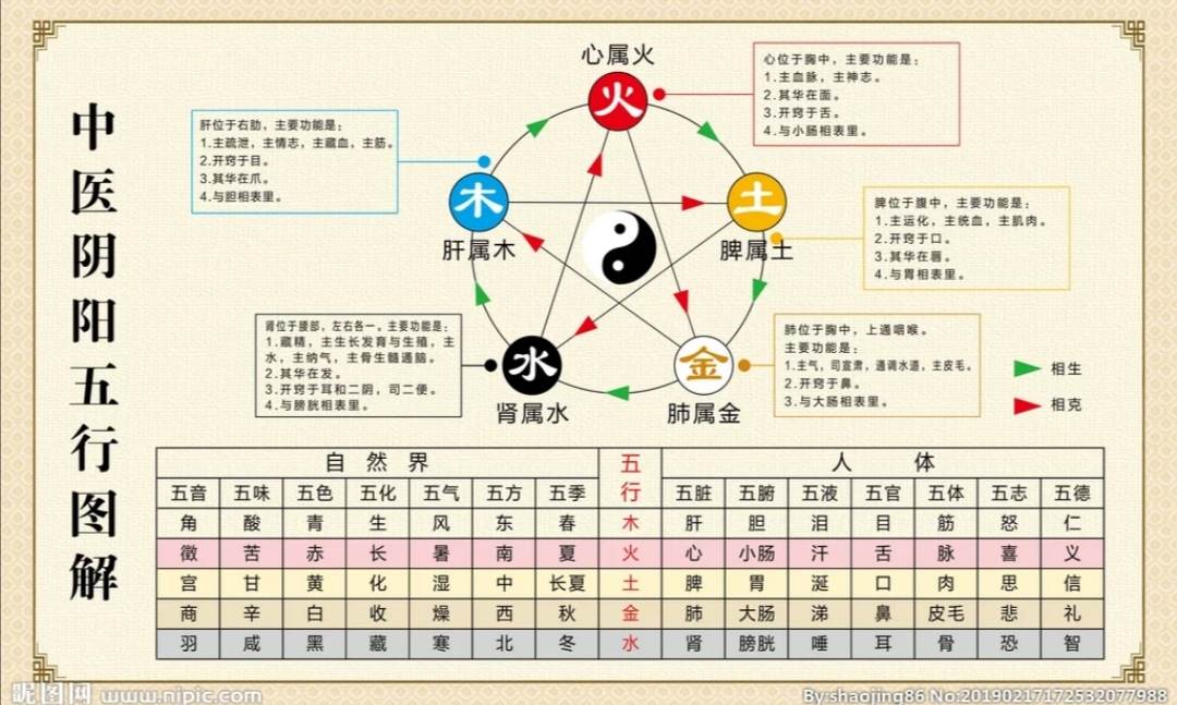 阴阳五行学说_天干地支对应五行阴阳_天干地支五行阴阳