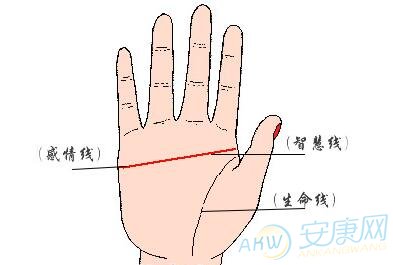 <strong>手相</strong>智慧线与感情线有一条连接线（<strong>手相</strong>中智慧线与感情线相交）