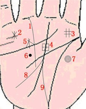 手相 事业线 成功线_手相财富线_手相事业线穿过智慧线
