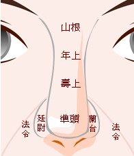 塌鼻子面相_脸大鼻子塌的女生面相_鼻子塌单眼皮圆脸面相