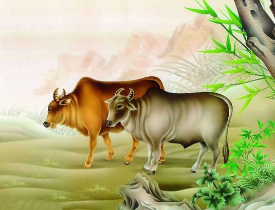 属牛的是几几年出生 牛年出生的人命运