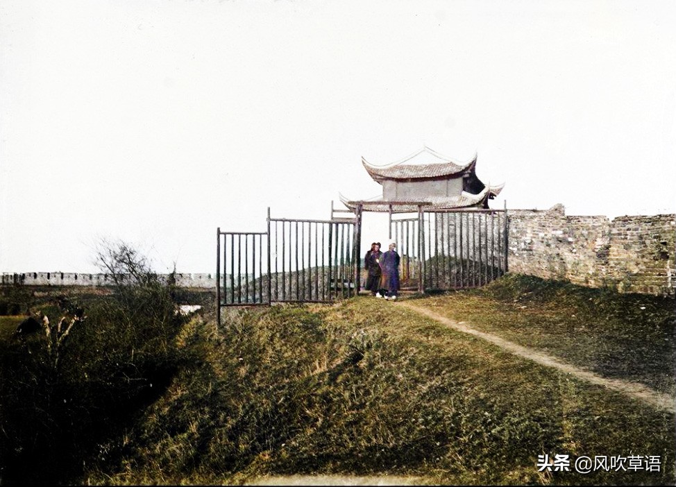 己土_一类土二类土三类土_土鸡苗批发 土鸡苗 草鸡苗 柴鸡