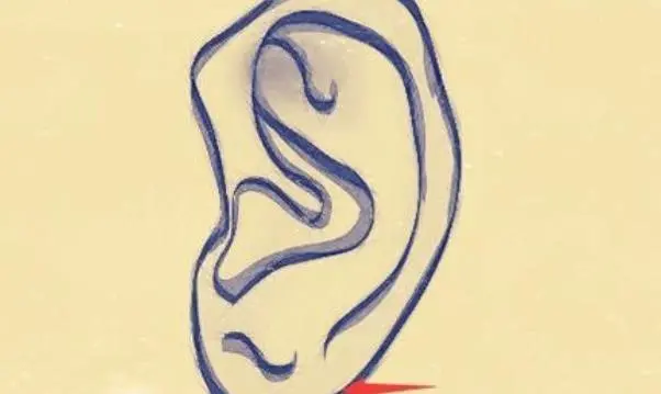 女人耳朵长痣面相图_耳朵比脸白 面相 女人_大耳朵图图的耳朵 面相