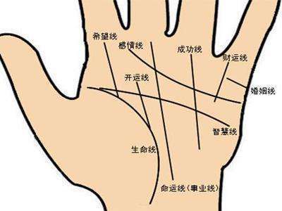 女人<strong>手相</strong>事业线怎么看？女人<strong>手相</strong>事业线图解大全