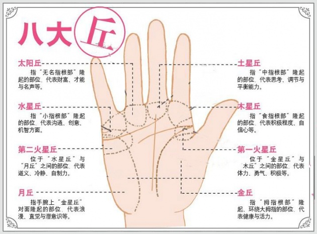 五种享福命的女人<strong>手相</strong> 女人怎么看<strong>手相</strong>图解
