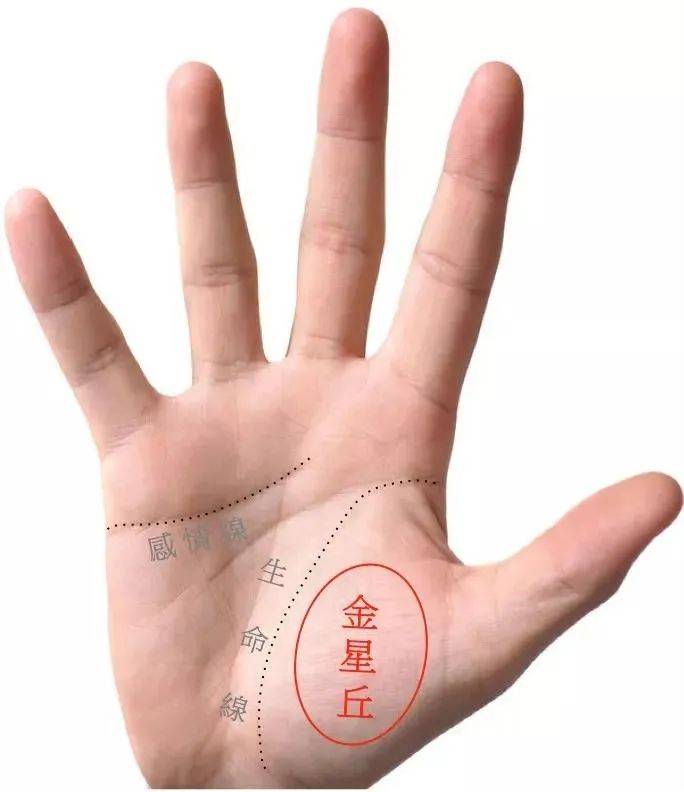 五种享福命的女人<strong>手相</strong> 女人怎么看<strong>手相</strong>图解