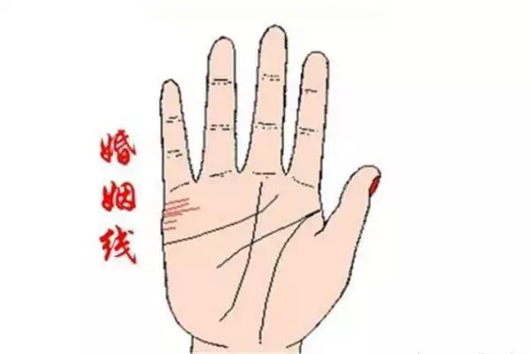 1、男人左手手纹算命图解婚姻线:看手相算命图解