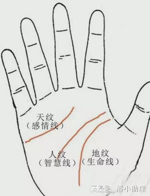 男人看<strong>手相</strong>是看左手还是右手？_那么男人看<strong>手相</strong>究竟是看左手还是右手呢