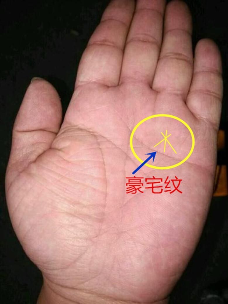 手相事业线男图解_手相算命图解事业线_女人手相事业线图解