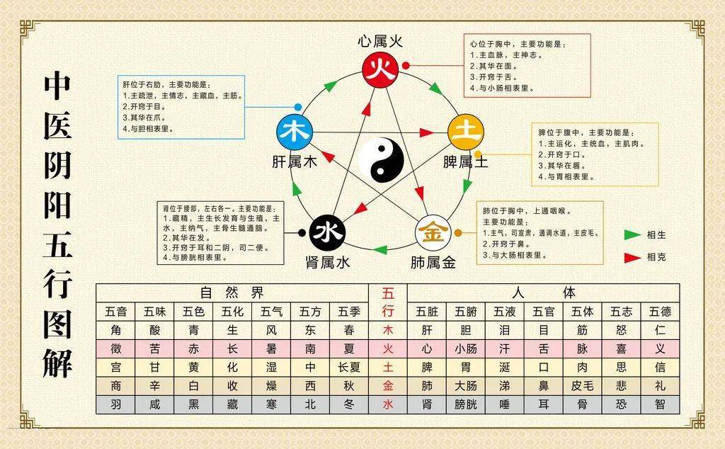 双色球五行号码相克表_金和水相生还是相克_五行相生相克表