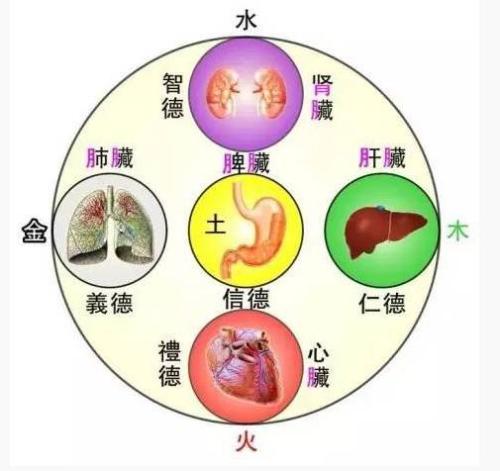 五行与健康_五行健康体操mp3免费下载_五行健康体操高清视频下载