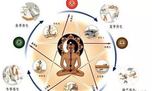五行与健康