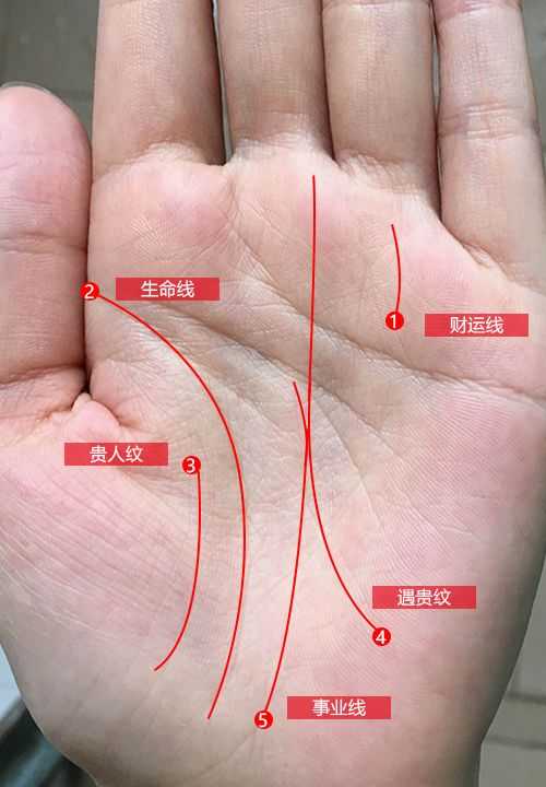 女生<strong>手相</strong>事业线图解 女人<strong>手相</strong>事业线分析