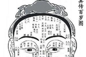 怎么看面相