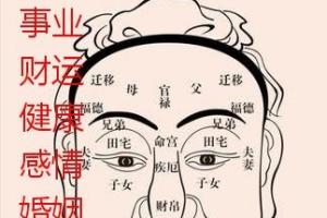 面相怎么看<strong>财运</strong> 面相看<strong>财运</strong>看什么地方绝招