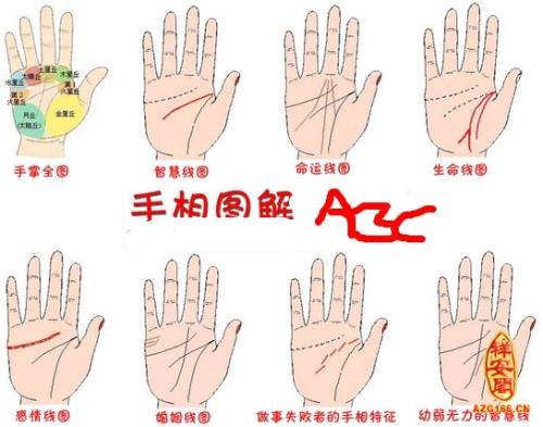 怎么看<strong>手相</strong> 小拇指算命 小拇指<strong>手相</strong>