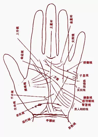 手掌月丘有横纹图_手掌有痣_胆囊炎的症状有手掌青筋明显吗