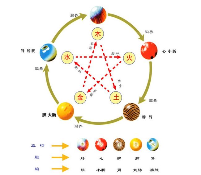 水生木_金生水 水生木_水生木 金生水