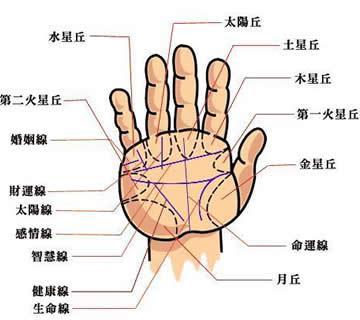 什么样的手相是富贵手相_曾经相信好手相是什么生肖_不要相信手相