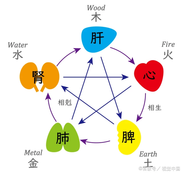 五行图相生图与五腑人体图 五行与人体对应关系