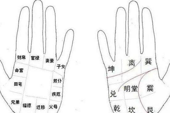 <strong>手相</strong>八卦十二宫 掌握小诀窍 自己就能看<strong>手相</strong>