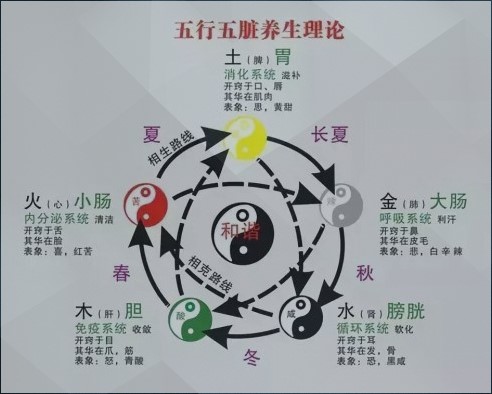 数字能量学五行与健康，数易文化五行健康怎么看