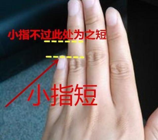 左手无名指比食指长_无名指比食指长_食指和无名指哪个长