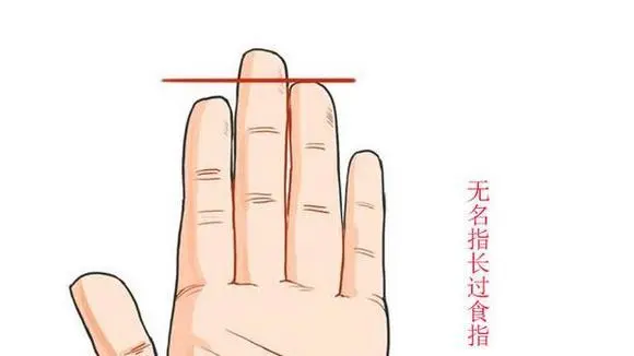 女性的无名指长比食指长_无名指比食指长_食指接指手术