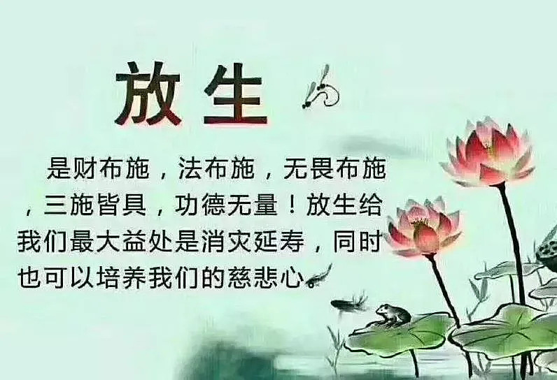 放生蚯蚓的好处_放生好处_放生乌龟的好处