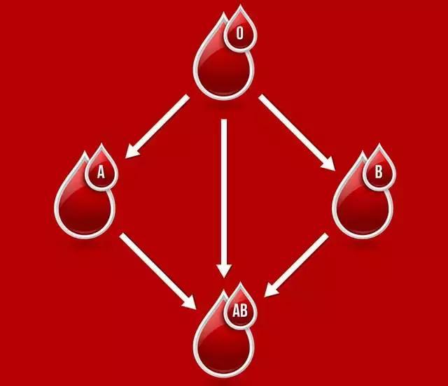 血型暴露了你的性格？最健康血型是A、B还是O？今天告诉你答案