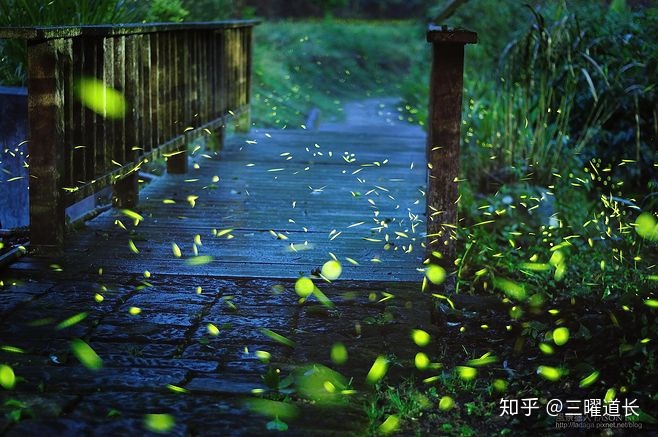 三曜道长解读<strong>易经</strong>：泽水困   <strong>易经</strong>第47卦