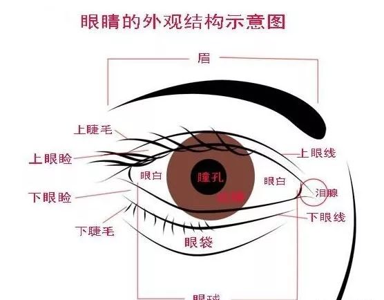 男人看相眼睛_男人眼睛看相_眼睛看相