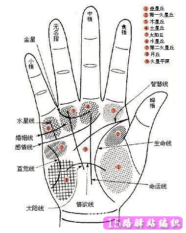 看相算命大全有图像五官_五官看相耳朵_女人五官看相