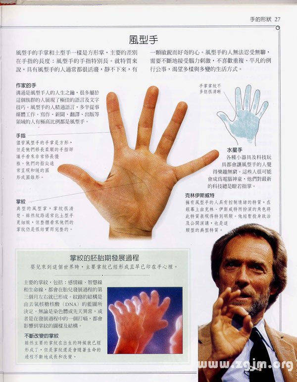 看<strong>手相</strong>靠不靠谱  说说看<strong>手相</strong>的那些是是非非