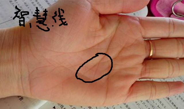 <strong>手相</strong>看偏财解说偏财运好的<strong>手相</strong>特点