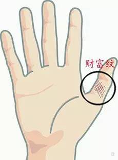 <strong>手相</strong>看偏财解说偏财运好的<strong>手相</strong>特点