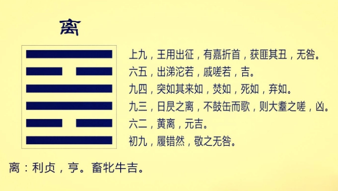 离为火卦详解吉凶官司