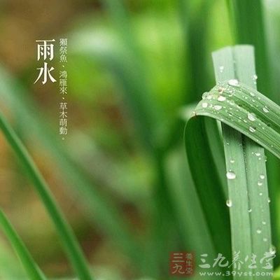 雨水节气吃什么_雨水节气后是啥节气_雨水节气图片大全