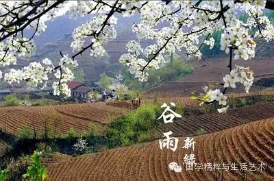 谷雨节气谈养生_谷雨节气的诗_谷雨节气的特点和风俗